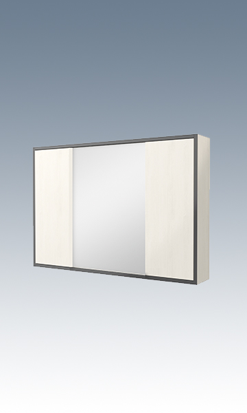 BM1005-100 生態鏡柜